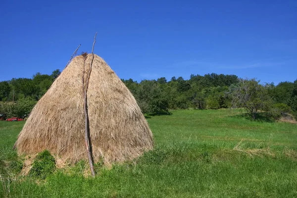 Field with haystack. — Stock Photo, Image