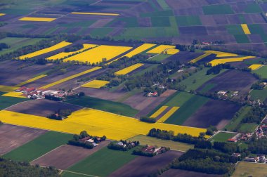 kuş görünümü dron panorama airview tarım tarım alanları