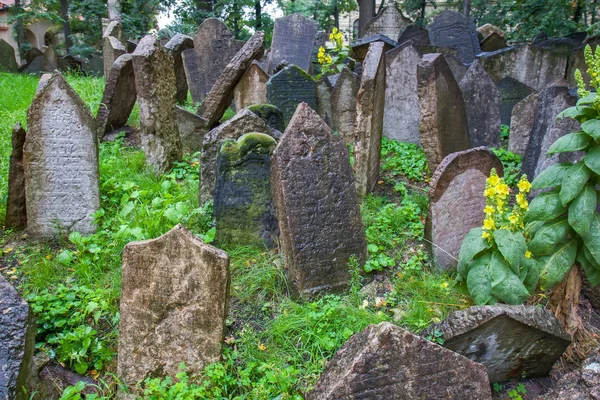 Cemitério Judaico Velho, Praga — Fotografia de Stock