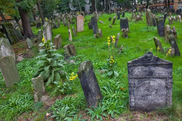 Alter jüdischer Friedhof, Prag lizenzfreie Stockbilder