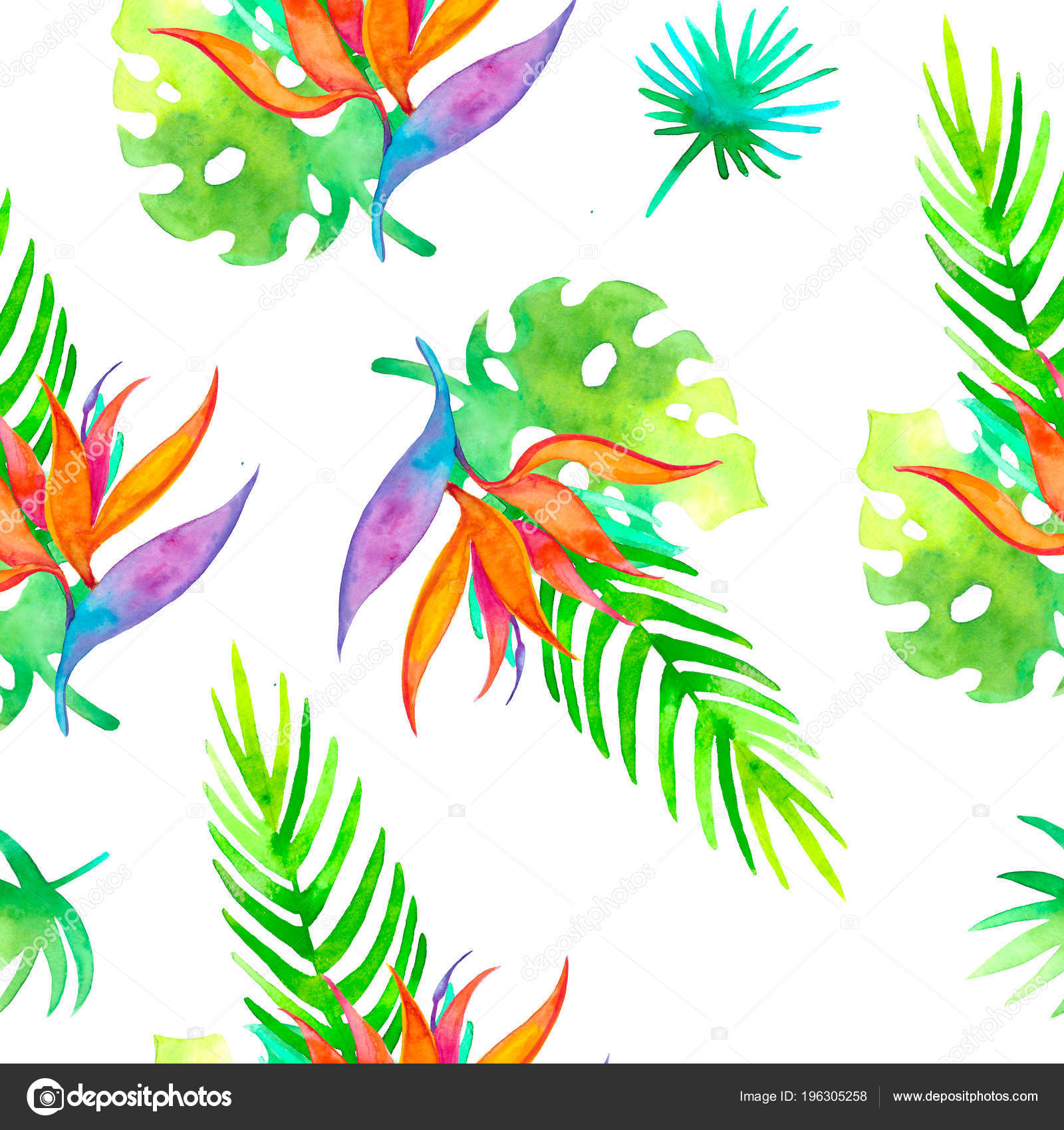 été Sans Soudure Tropical Modèle Strelitzia Avec Fleur