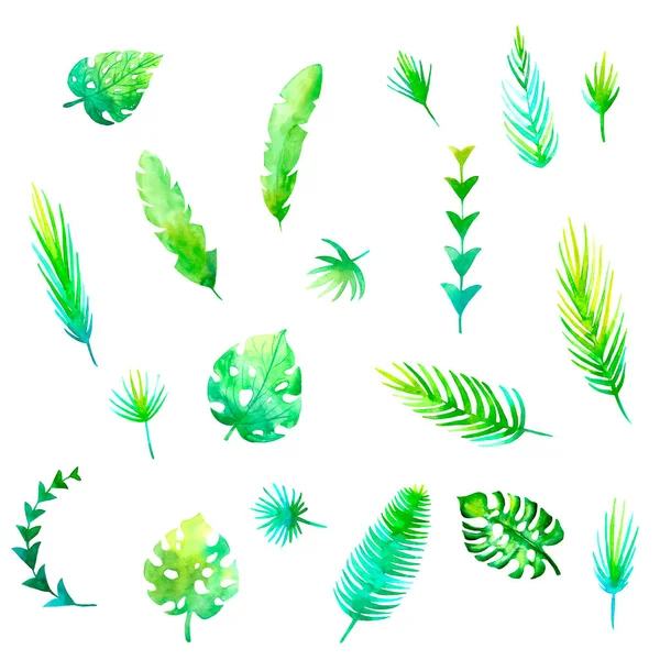 Aquarell handgezeichnete Farbe Set tropischen Urlaub. tropische exotische leaf.green Pflanze Monstera, Palmblatt isoliert auf weißem Hintergrund. Sommer, Frühling Ostern, Frauentag romantischer Urlaub, Hochzeitseinladungskarte. — Stockfoto