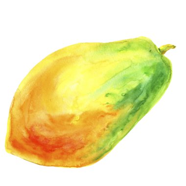 El çizilmiş papaya suluboya. Tropik meyve suluboya boyama. Papaya dilim beyaz arka plan üzerinde izole. Taze sağlık tarzı botanik illüstrasyon