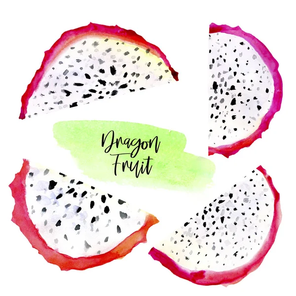 stock image Hand drawn watercolor illustrations of dragon fruits pitaya slice isolated on white background. Pitahaya. Summer food illustration, tropical fruit. Healthy life style painting. Hand drawn clip art