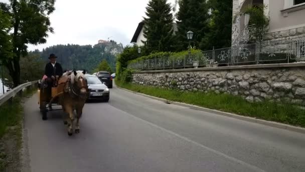 Traficul Stradal Din Orașul Vechi Ljubljana — Videoclip de stoc