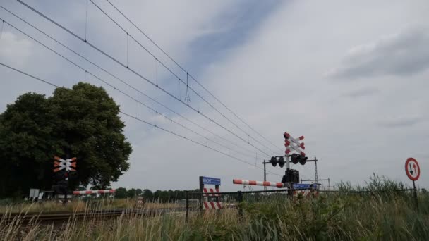 Time Lapse Train Railroad Netherlands — Stock Video