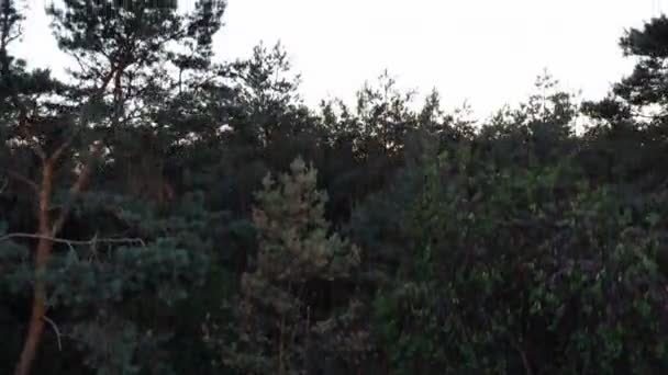 オランダの風景に夕日の空中ドローン ショット ティルト アップ — ストック動画