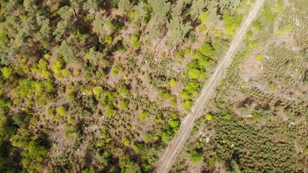 Paysage hivernal aux Pays-Bas 