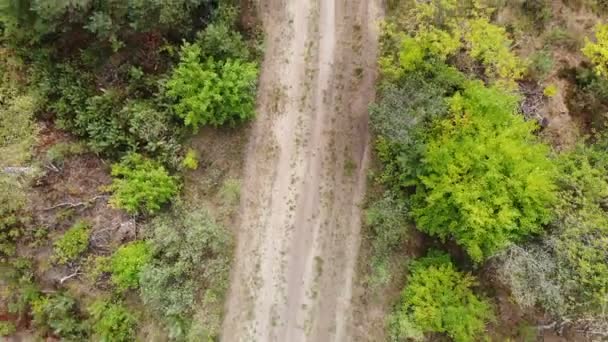 Paysage hivernal aux Pays-Bas 