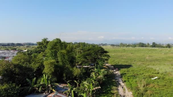 Gambar Pemandangan Hutan Yang Menakjubkan — Stok Video