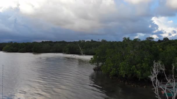 Playa Arena Islas Nido — Vídeo de stock