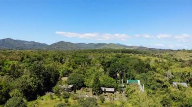 Muhteşem orman manzara görüntüleri 