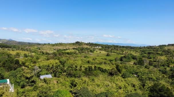 Imagens Incríveis Paisagem Florestal — Vídeo de Stock