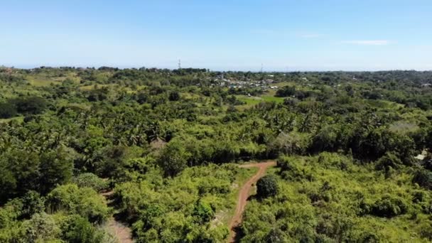 Images étonnantes de paysage forestier  