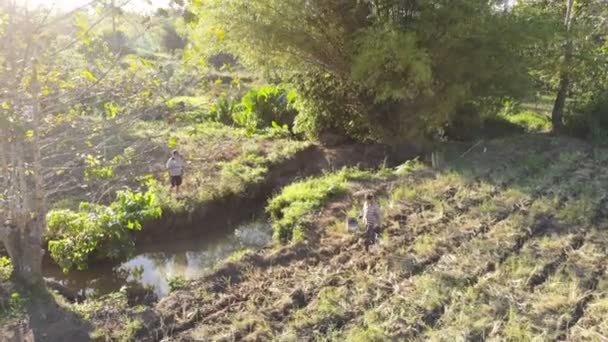 フィリピンの田舎の棚田に水を — ストック動画
