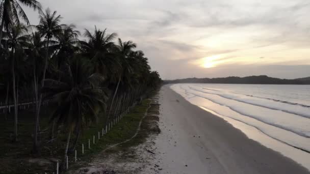 Spiaggia Sabbiosa Tropicale Delle Isole Nido — Video Stock