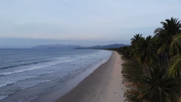 Plage Tropicale Sable Des Îles Nido — Video