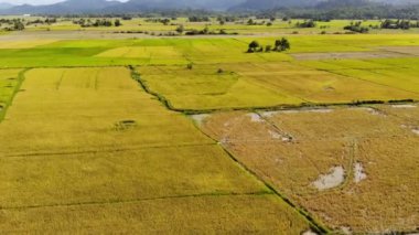 Kırsal peyzaj alanı ve arka plan üzerinde dağ