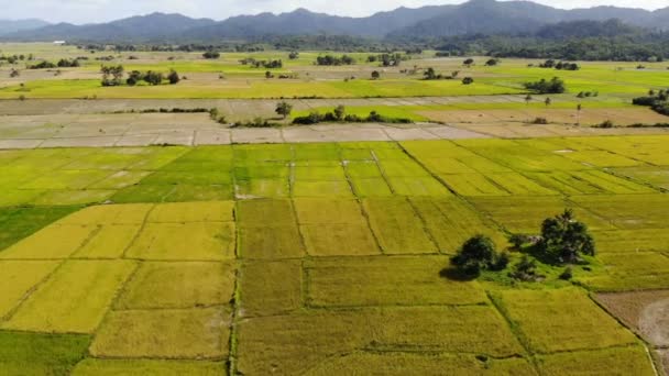 Images de paysage de prairie aux Philippines  