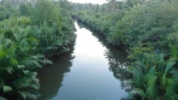 Flug Über Fluss Waldlandschaft Auf Den Philippinen — Stockvideo