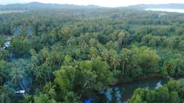 Filmati Del Paesaggio Forestale Tropicale Nelle Filippine — Video Stock