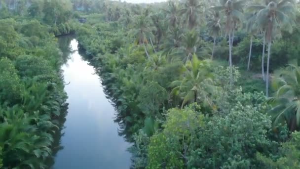 Lot Nad Rzeką Lesie Krajobraz Nagrania Filipinach — Wideo stockowe