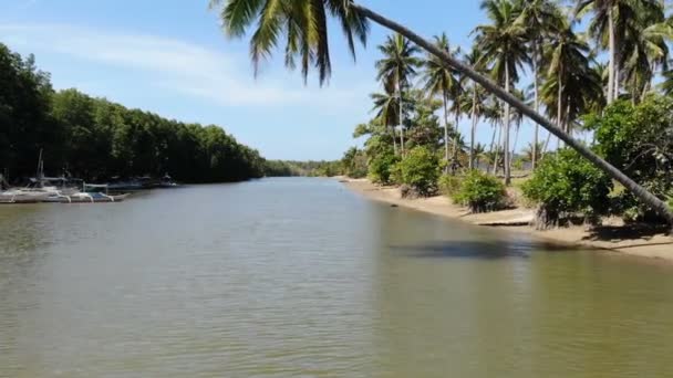 Tropischer Sandstrand Der Nido Inseln — Stockvideo