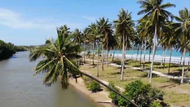 Praia Trópica Arenosa Das Ilhas Nido — Vídeo de Stock