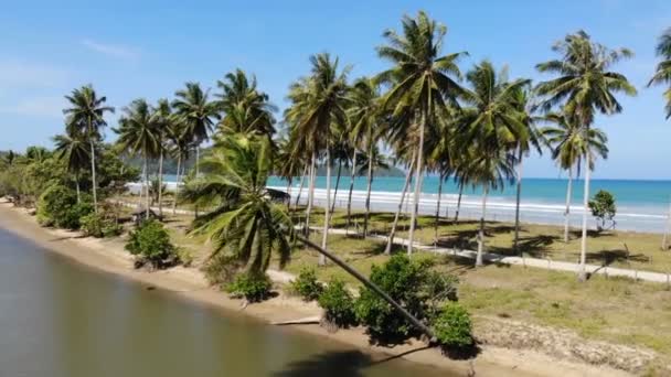 Praia Trópica Arenosa Das Ilhas Nido — Vídeo de Stock