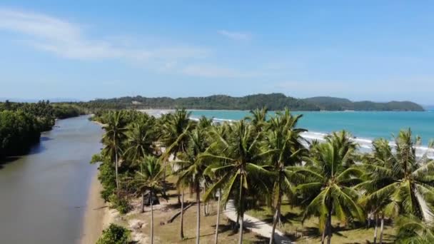 Spiaggia Sabbiosa Tropicale Delle Isole Nido — Video Stock