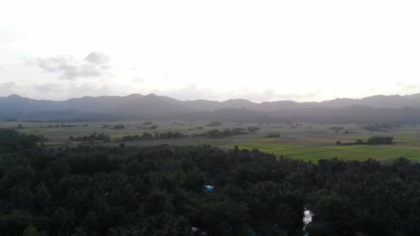 フィールドと背景に山と田園風景 — ストック動画