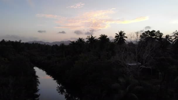 Voo Acima Rio Imagens Paisagem Florestal Nas Filipinas — Vídeo de Stock