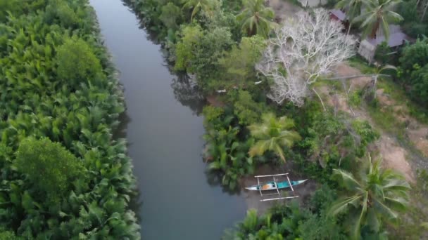 Lot Nad Rzeką Lesie Krajobraz Nagrania Filipinach — Wideo stockowe