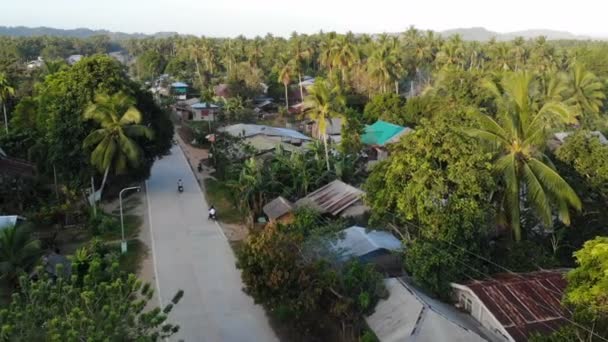 Fly Village Road San Vincente Philippines — Stock Video