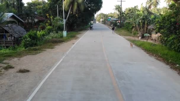 フィリピンのサンビンセンテにある村や道路を飛ぶ — ストック動画