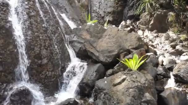 Survoler Les Chutes Eau Passées Sabang Philippines — Video