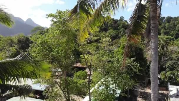 Tropical Forest Landscape Footage Philippines — Stock Video