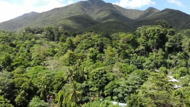 Tropický Záběr Lesní Krajinu Filipínách — Stock video