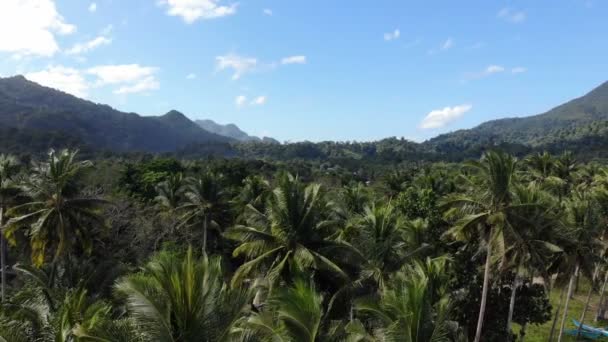 Imagens Paisagem Floresta Tropical Nas Filipinas — Vídeo de Stock