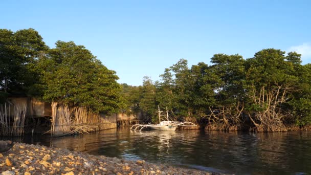 Boote Der Nähe Strand Von Taytay Philippinen — Stockvideo