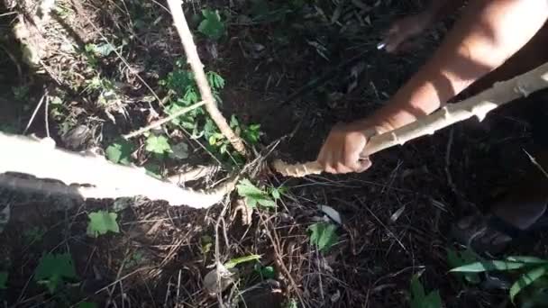 Cozinha Uma Cabana Filipina Local — Vídeo de Stock