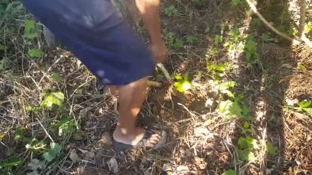 Küche Einer Lokalen Philippinischen Hütte — Stockvideo