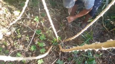 Filipinler 'de yerel bir kulübede mutfak.