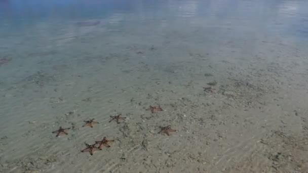 Mergulho no mar Mediterrâneo — Vídeo de Stock