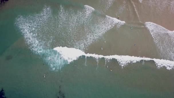 Luftaufnahme Von Menschen Die Tagsüber Meer Schwimmen — Stockvideo