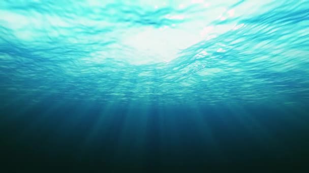 海背景見てから水中 日差しときらめく水中ビューから 海表面テクスチャのアニメーション効果 — ストック動画