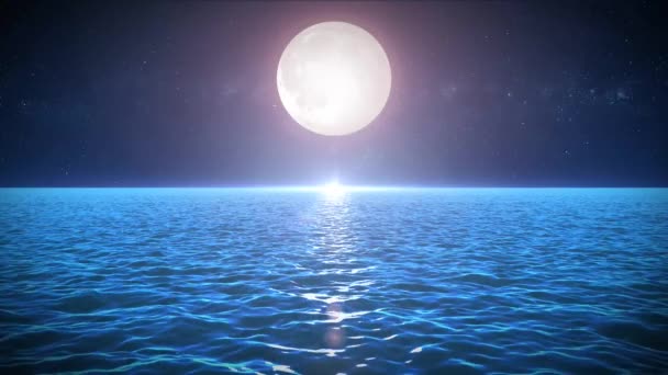 Meereslandschaft Mondschein Hintergrund Animation Einer Beweglichen Nächtlichen Ozeanlandschaft Mit Wunderschönem — Stockvideo