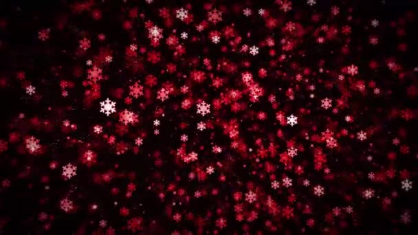 シームレスなループ クリスマス雪背景 抽象のエレガントな赤の雪片の背景 クリスマスおよび新年の休日の単発のアニメーション — ストック動画