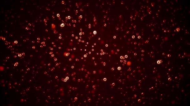 赤血球背景ループを抽象的な健康と医学の背景に赤の血液細胞 Globula のシームレスなループの のアニメーションで動きを遅く — ストック動画