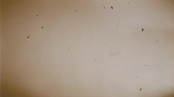 Поврежденные Кадры Кадры Анимация Пустой Зацикленной Старой Винтажной Ленты Поврежденной — стоковое видео